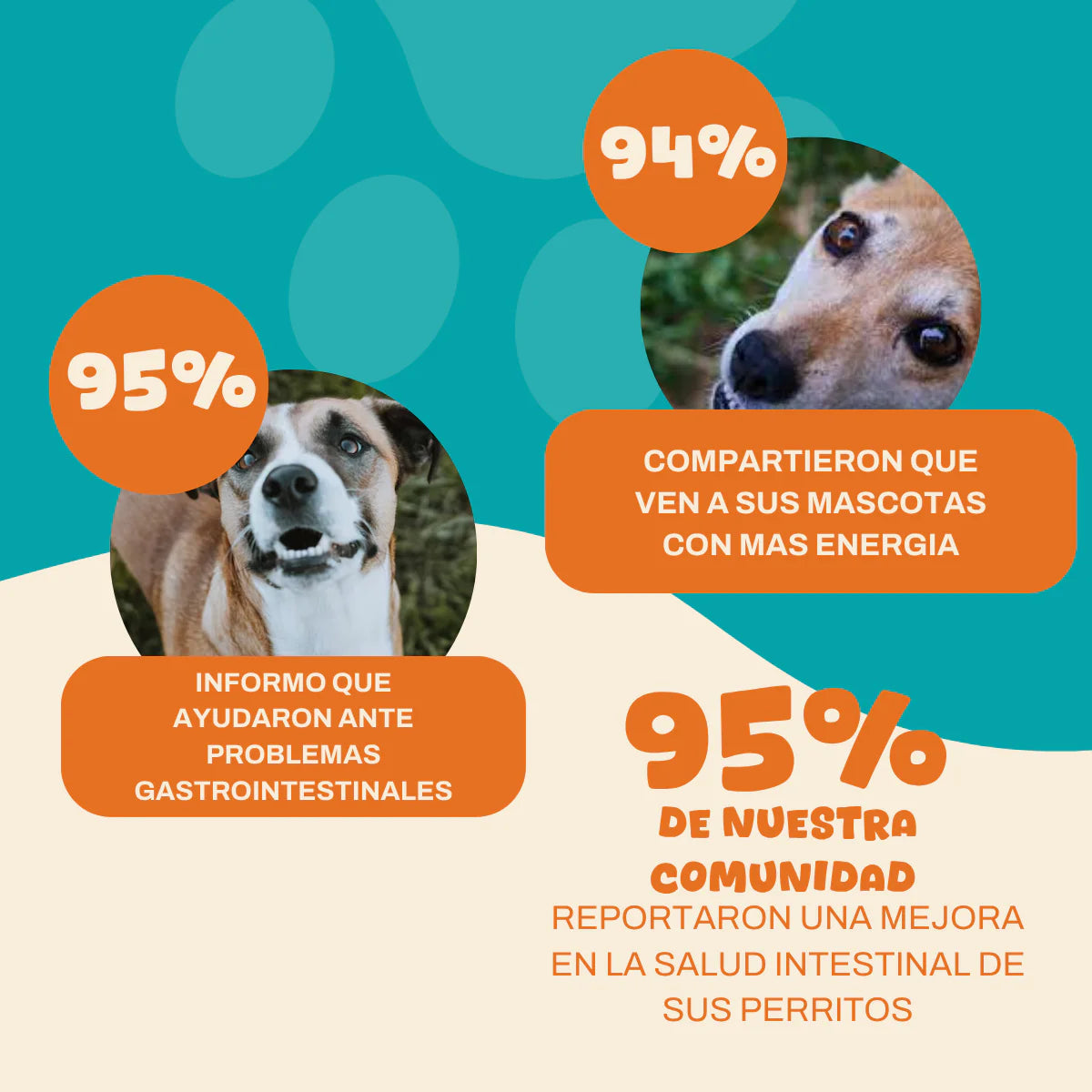 Probiotico para perros - 3x2 🔥 | Fortalecé la salud de tu perrhijo en menos de 30 días