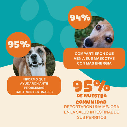 Probiotico para perros - 3x2 🔥 | Fortalecé la salud de tu perrhijo en menos de 30 días