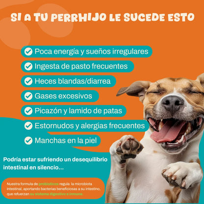 Probiotico para perros - 3x2 🔥 | Fortalecé la salud de tu perrhijo en menos de 30 días